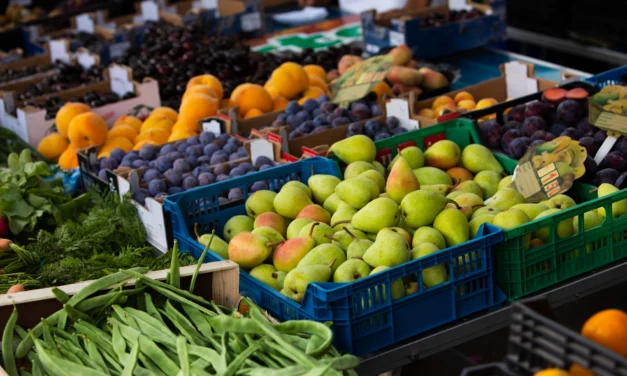 le fret « reefer » Maroc–Espagne progresse de 35 %