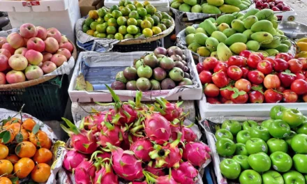 Maroc Fruit Board accélère l’export avec un réseau maritime élargi et digitalisé