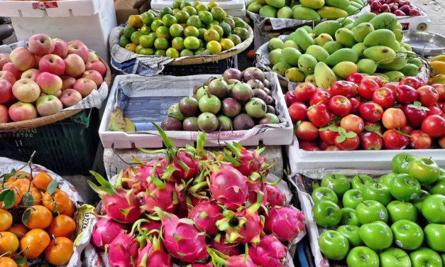 Maroc Fruit Board accélère l’export avec un réseau maritime élargi et digitalisé