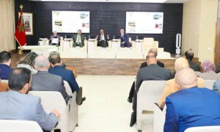 Le transport rural inclusif au Maroc : une logistique territoriale à repenser d’ici 2035