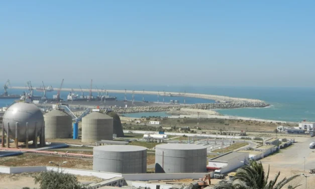 Port de Jorf Lasfar : un projet d’extension stratégique au cœur de la vision “Green Basin”