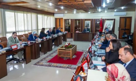 AMDL : Démarche Conseil pilotera la commercialisation d&rsquo;Oulad Saleh