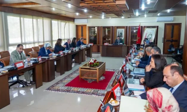 AMDL : Démarche Conseil pilotera la commercialisation d&rsquo;Oulad Saleh